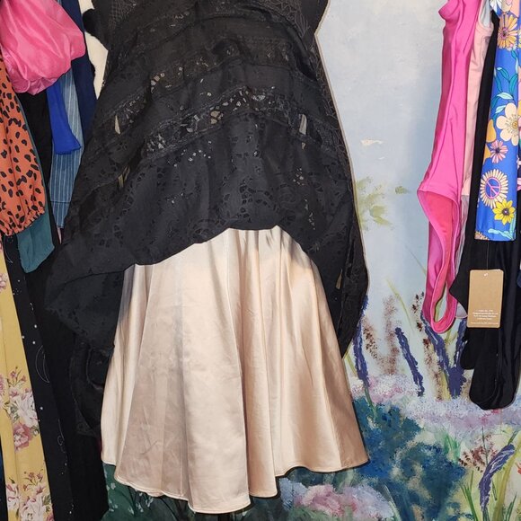 EUC Eliza J Black Lace with Mesh with Champagne Colored Liner - Picture 6 of 10